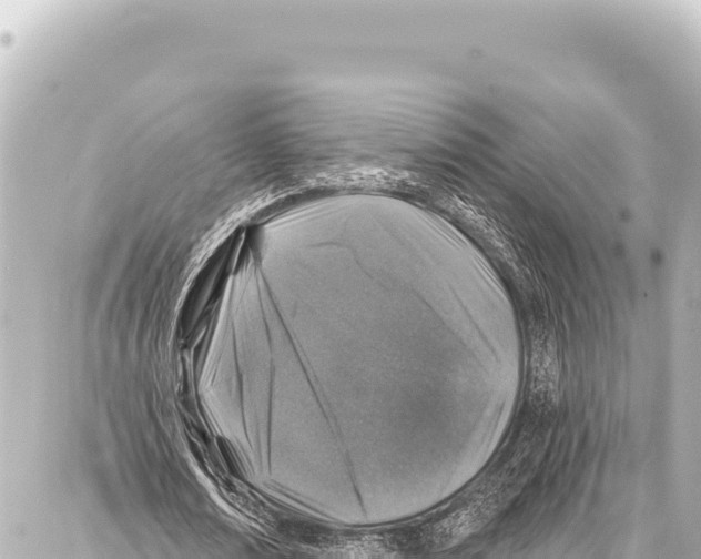 X0000086880674200705141411