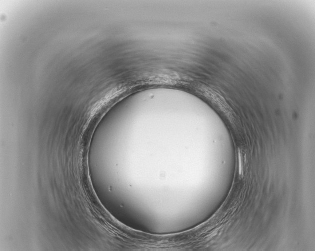 X0000086880675200705141411