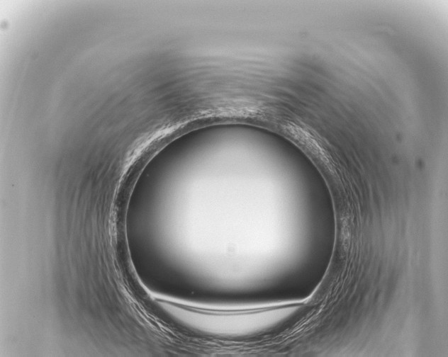 X0000086880676200705141411