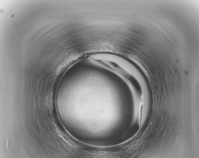 X0000086880677200705141411