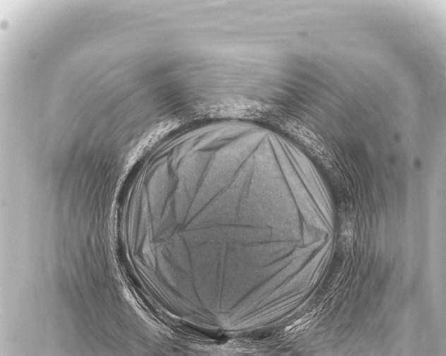 X0000086880678200705141411