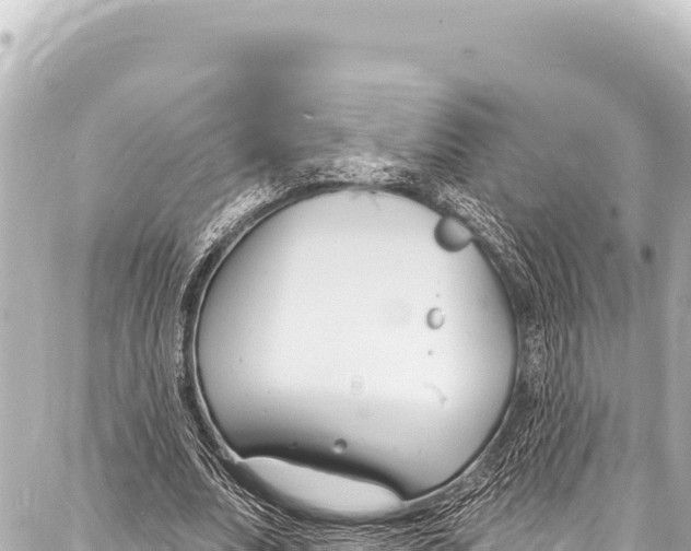 X0000086880679200705141411