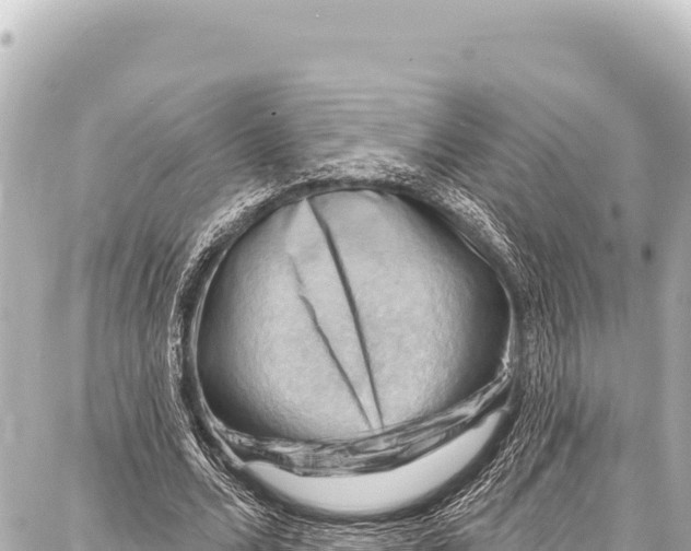 X0000086880680200705141411