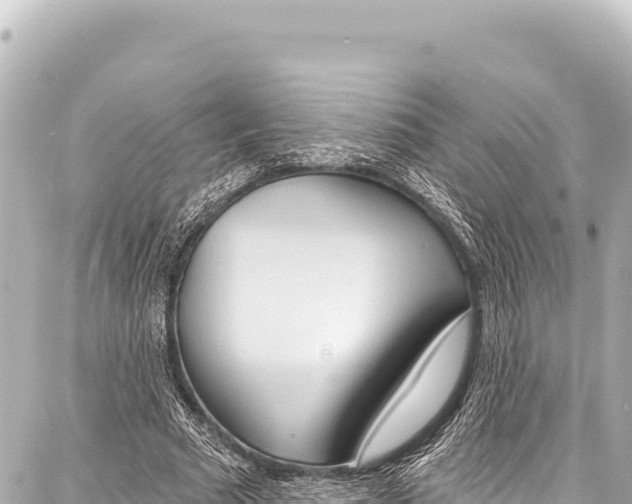 X0000086880681200705141411