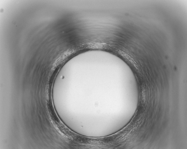 X0000086880682200705141411