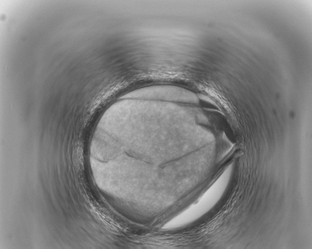 X0000086880684200705141411