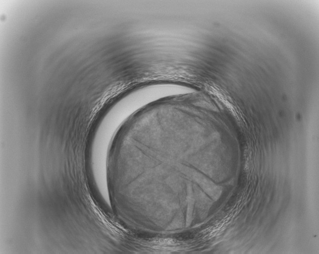 X0000086880685200705141411