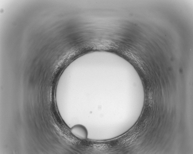 X0000086880686200705141411