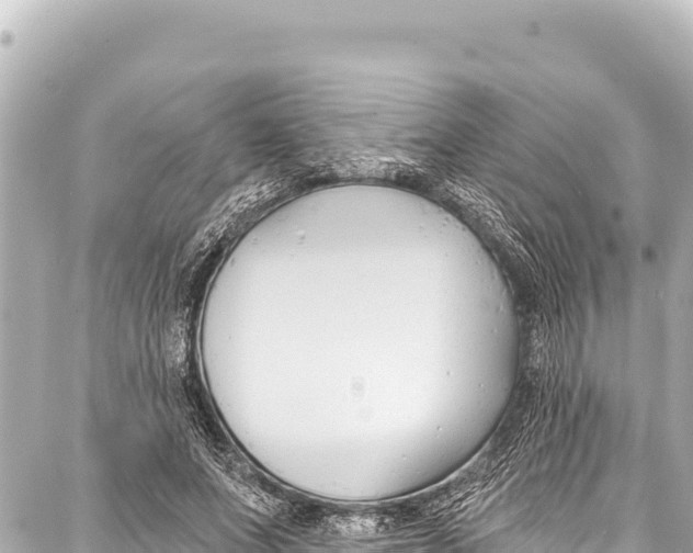 X0000086880687200705141411