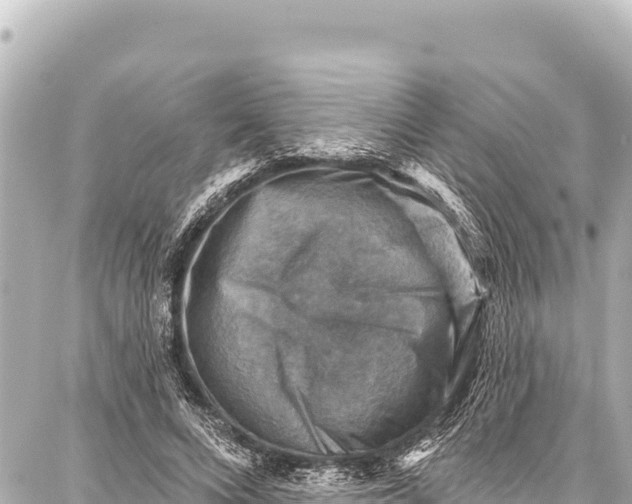 X0000086880688200705141411