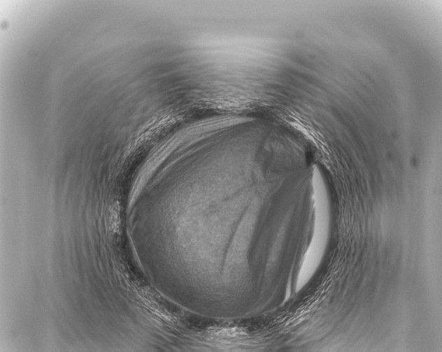 X0000086880689200705141411