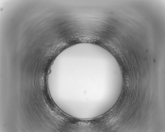 X0000086880690200705141411