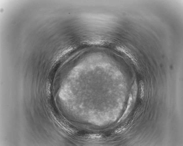 X0000086880692200705141411