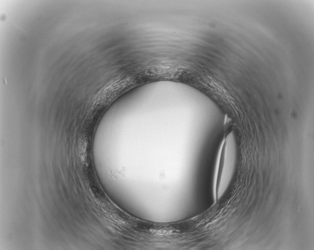 X0000086880693200705141411