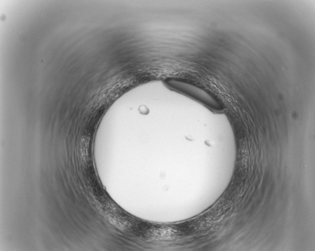 X0000086880695200705141411