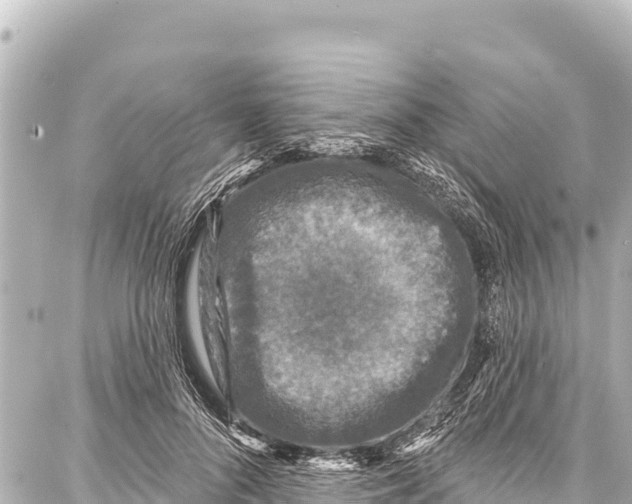 X0000086880696200705141410