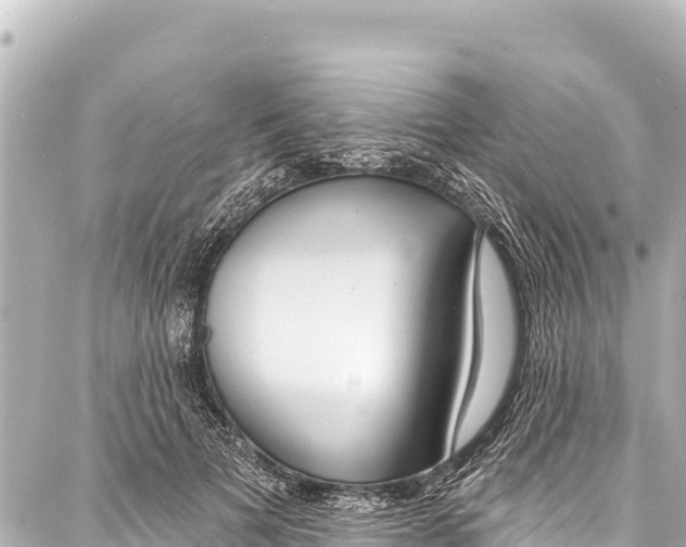 X0000086880697200705141410