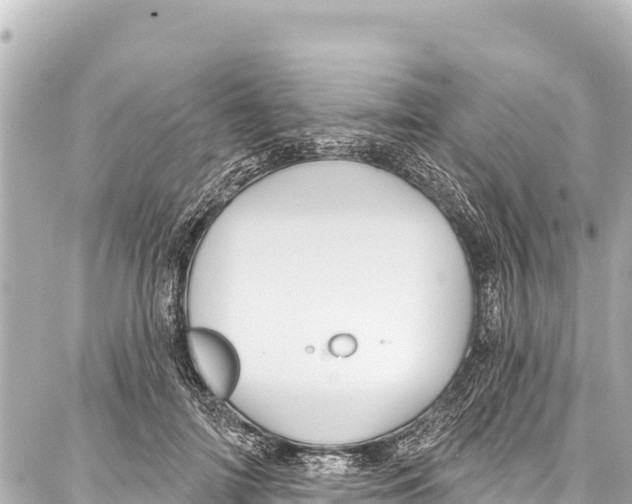 X0000086880698200705141410