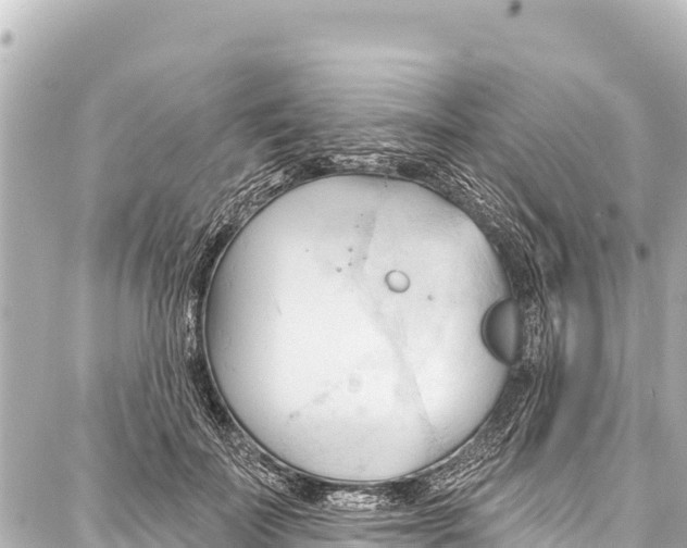 X0000086880699200705141410