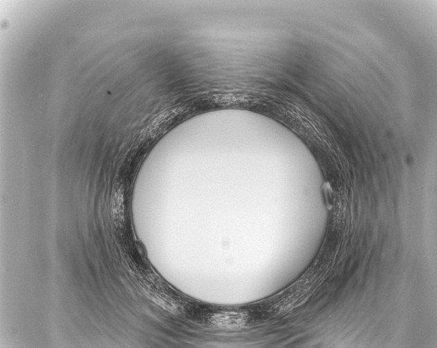 X0000086880700200705141410