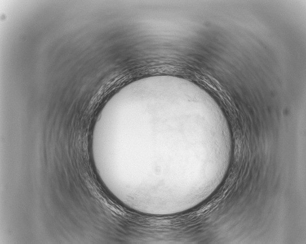 X0000086880701200705141410