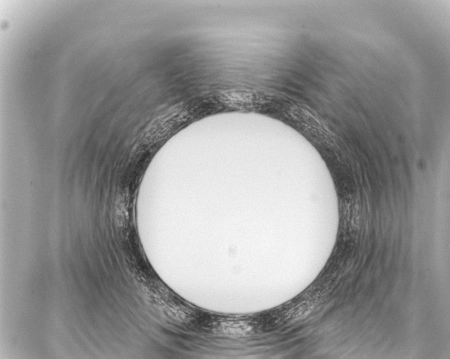 X0000086880702200705141410