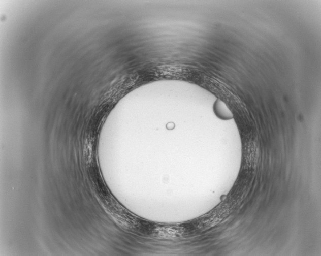 X0000086880703200705141410