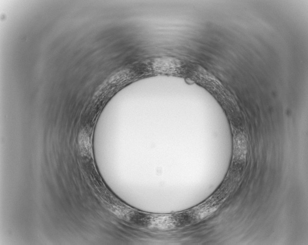 X0000086880705200705141410