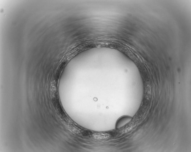 X0000086880707200705141410