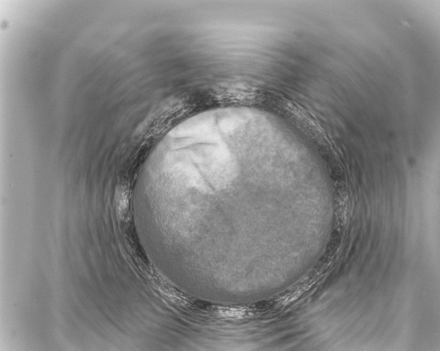 X0000086880709200705141410