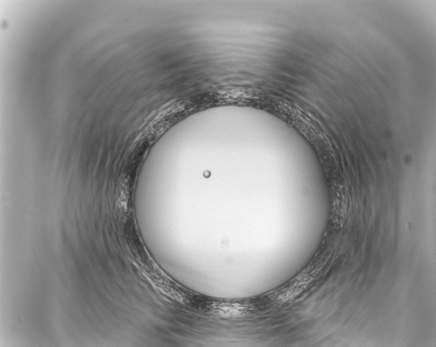 X0000086880710200705141410