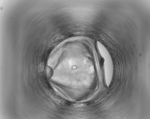 X0000086880711200705141410