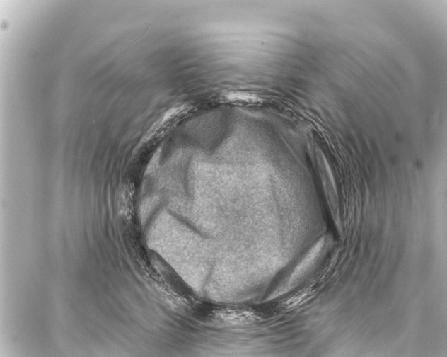 X0000086880712200705141410