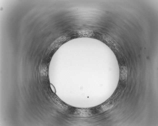 X0000086880713200705141410