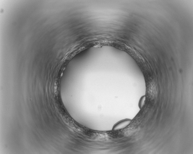 X0000086880715200705141410