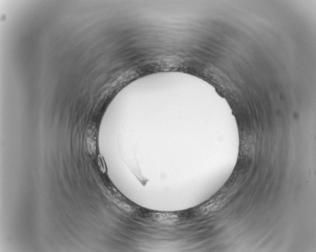 X0000086880719200705141410