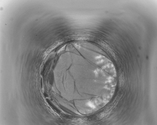 X0000086880721200705141409