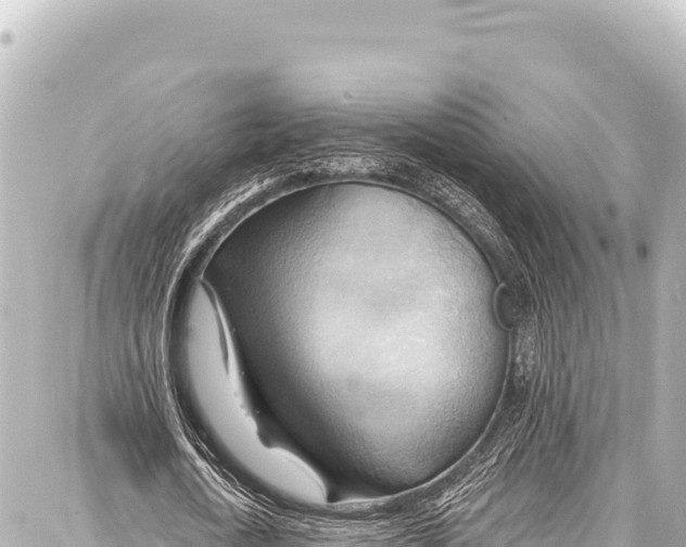 X0000086880722200705141409