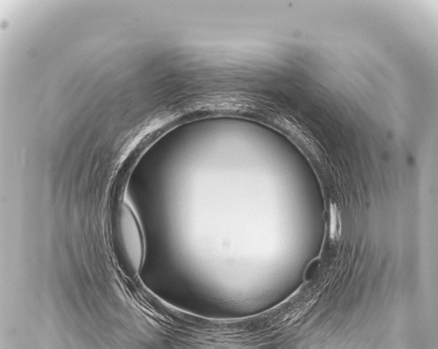 X0000086880723200705141409