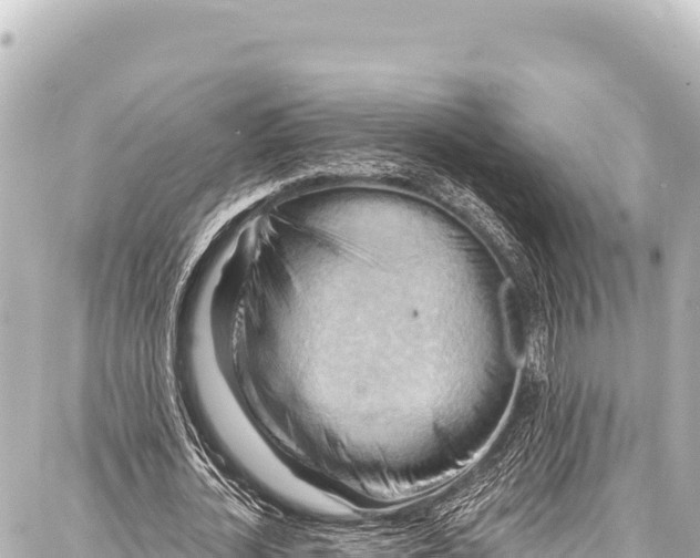 X0000086880724200705141409