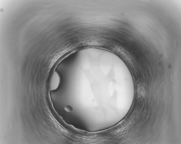 X0000086880725200705141409