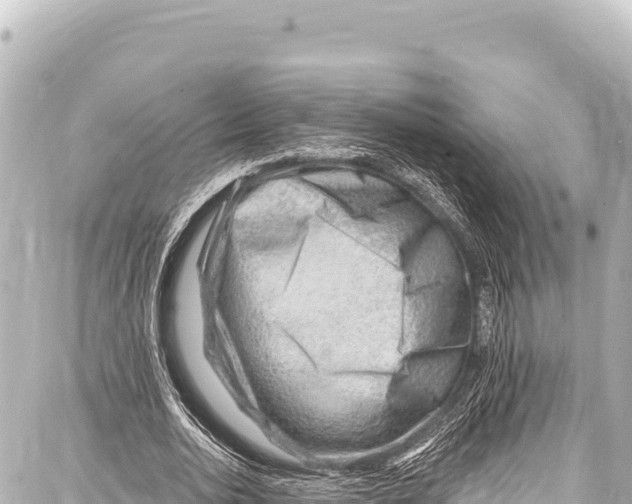 X0000086880726200705141409