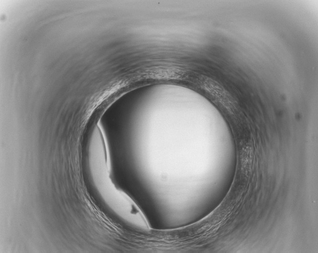 X0000086880727200705141409