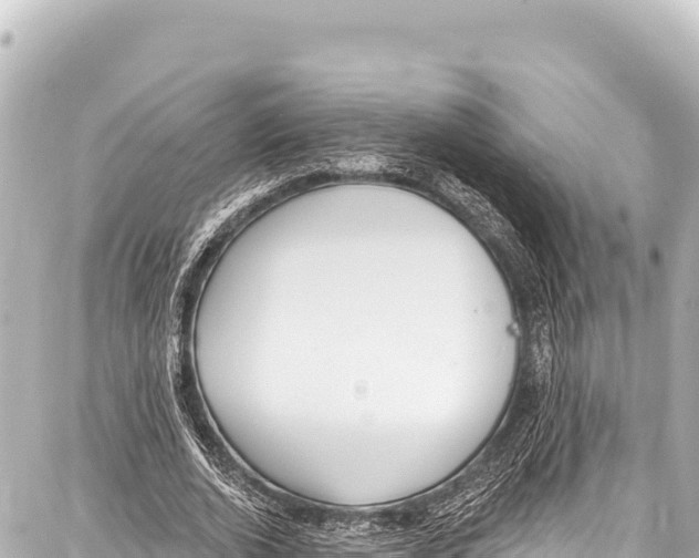 X0000086880728200705141409