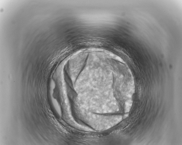 X0000086880729200705141409