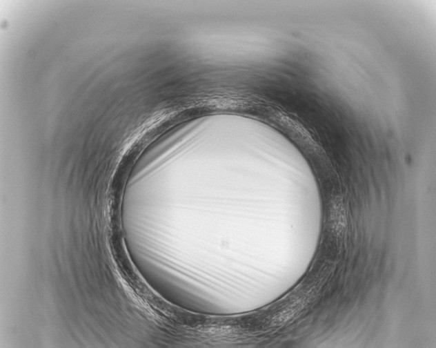 X0000086880730200705141409