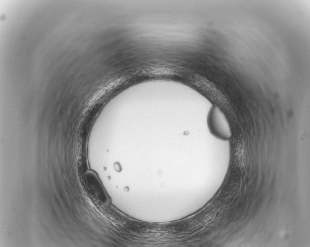 X0000086880732200705141409