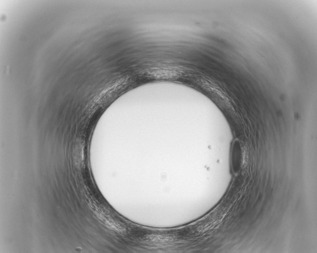 X0000086880733200705141410