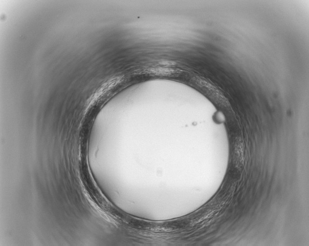 X0000086880734200705141410