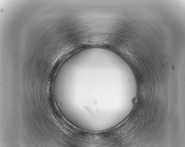 X0000086880735200705141410